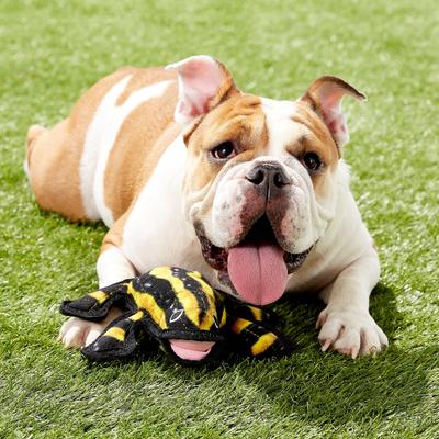 Show full view: Tuffy's Desert Phrog Plush Dog Toy slide 4 of 11