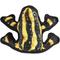Show in main carousel: Tuffy's Desert Phrog Plush Dog Toy slide 6 of 11