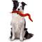 Show in main carousel: Tuffy's Desert Snake Squeaky Plush Dog Toy, Red slide 4 of 9