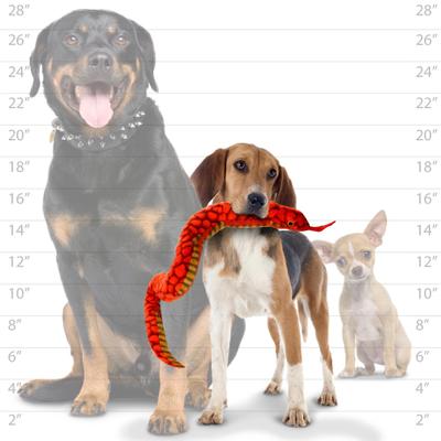 Show full view: Tuffy's Desert Snake Squeaky Plush Dog Toy, Red slide 5 of 9