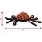 Show in main carousel: Tuffy's Desert Spider Plush Dog Toy slide 2 of 10