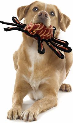 Show full view: Tuffy's Desert Spider Plush Dog Toy slide 3 of 10