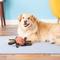 Show in main carousel: Tuffy's Desert Spider Plush Dog Toy slide 4 of 10