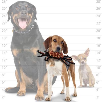 Show full view: Tuffy's Desert Spider Plush Dog Toy slide 5 of 10