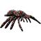 Show in main carousel: Tuffy's Desert Tarantula Plush Dog Toy slide 1 of 8