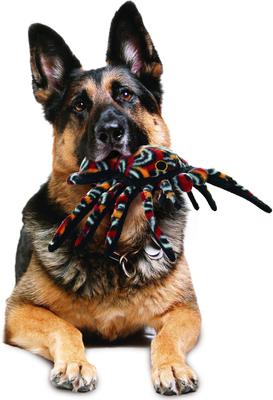 Show full view: Tuffy's Desert Tarantula Plush Dog Toy slide 3 of 8