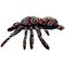 Show in main carousel: Tuffy's Desert Tarantula Plush Dog Toy slide 5 of 8