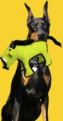 Show full view: Tuffy's Desert Warthog Plush Dog Toy slide 3 of 8