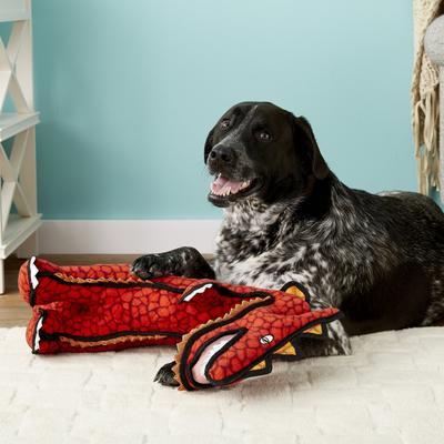 Show full view: Tuffy's Destructosaurus Dino Squeaky Plush Dog Toy slide 4 of 11