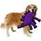 Show in main carousel: Tuffy's Dinosaur Stegosaurus Squeaky Plush Dog Toy slide 4 of 12