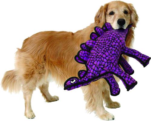 Show full view: Tuffy's Dinosaur Stegosaurus Squeaky Plush Dog Toy slide 4 of 12