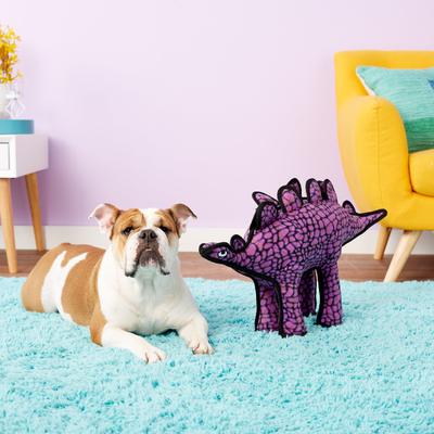 Show full view: Tuffy's Dinosaur Stegosaurus Squeaky Plush Dog Toy slide 5 of 12