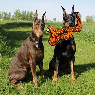 Show full view: Tuffy's Dragon Plush Dog Toy, Orange slide 4 of 9