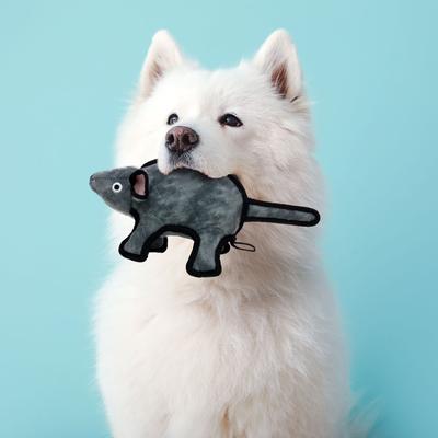 Show full view: Tuffy's Gray Mouse Mo Plush Dog Toy slide 3 of 11