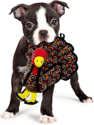Show full view: Tuffy's Jr Barnyard Turkey Squeaky Plush Dog Toy slide 4 of 9