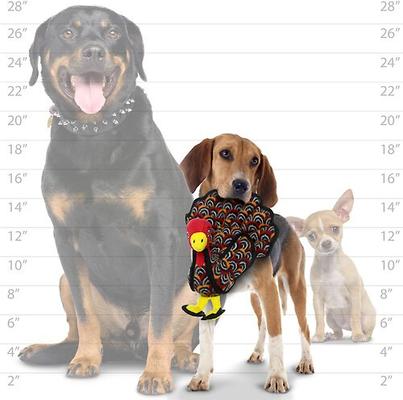 Show full view: Tuffy's Jr Barnyard Turkey Squeaky Plush Dog Toy slide 5 of 9