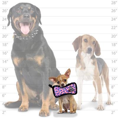 Show full view: Tuffy's Jr Bone2 Squeaky Plush Dog Toy, Pink Leopard slide 4 of 7