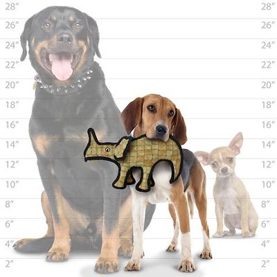 Show full view: Tuffy's Jr Dinosaur Moosasaurus Plush Dog Toy, Brown slide 4 of 8