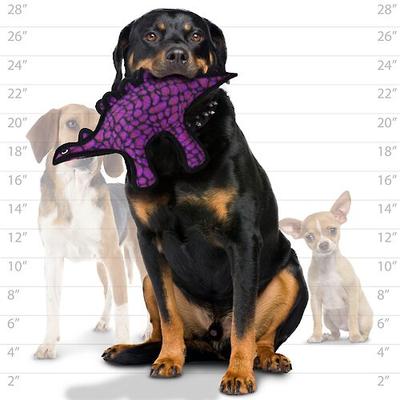 Show full view: Tuffy's Jr Dinosaur Stegosaurus Plush Dog Toy, Purple slide 4 of 8