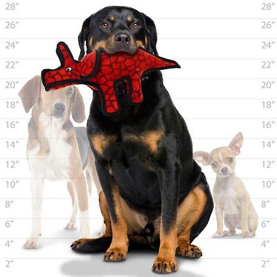 Show full view: Tuffy's Jr Dinosaur Triceratops Plush Dog Toy, Red slide 4 of 8