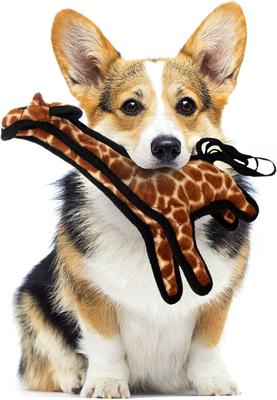 Show full view: Tuffy's Jr Zoo Giraffe Plush Dog Toy slide 3 of 8