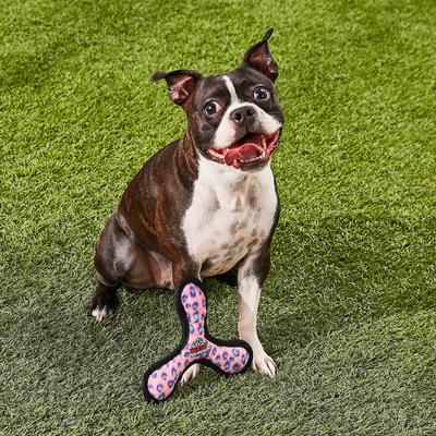 Show full view: Tuffy's Junior Bowmerang Squeaky Plush Dog Toy, Pink Leopard slide 5 of 9