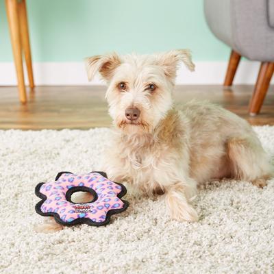 Show full view: Tuffy's Junior Gear Ring Squeaky Plush Dog Toy, Pink Leopard slide 4 of 8