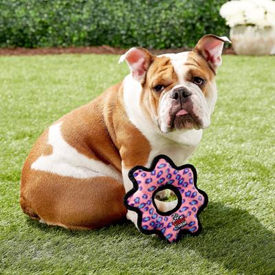 Show full view: Tuffy's Junior Gear Ring Squeaky Plush Dog Toy, Pink Leopard slide 5 of 8
