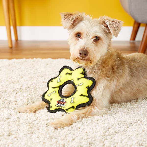Tuffy's Junior Ring Squeaky Plush Dog Toy