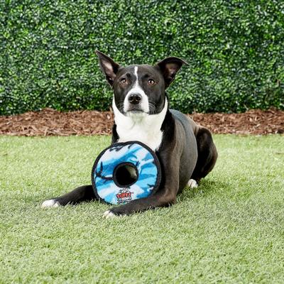 Show full view: Tuffy's Junior Ring Squeaky Plush Dog Toy, Camo Blue slide 5 of 9