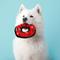 Show in main carousel: Tuffy's Junior Ring Squeaky Plush Dog Toy, Red Paws slide 3 of 9