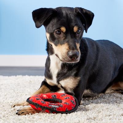 Show full view: Tuffy's Junior Ring Squeaky Plush Dog Toy, Red Paws slide 4 of 9