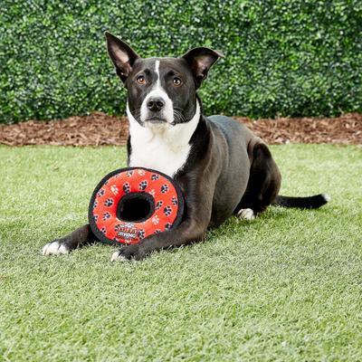Show full view: Tuffy's Junior Ring Squeaky Plush Dog Toy, Red Paws slide 5 of 9