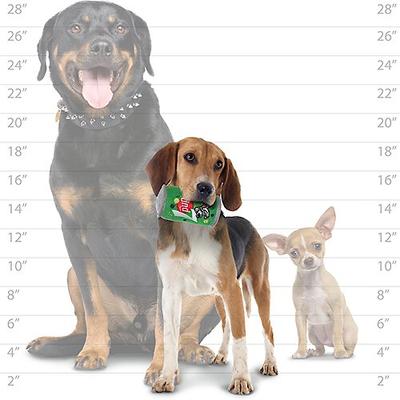 Show full view: Tuffy's Lucky Pup Durable Squeaky Dog Toy slide 8 of 8