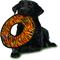 Show in main carousel: Tuffy's No Stuff Mega Ring Squeaky Plush Dog Toy, Tiger slide 4 of 9