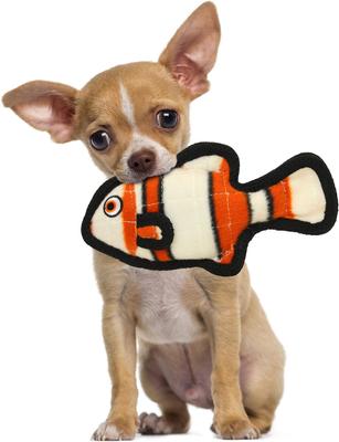 Show full view: Tuffy's Ocean Creature Jr Fish Squeaky Plush Dog Toy, Orange slide 4 of 9