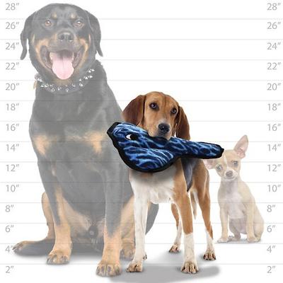 Show full view: Tuffy's Ocean Creature Stingray Squeaky Plush Dog Toy, Blue slide 3 of 6