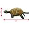 Show in main carousel: Tuffy's Ocean Creatures Burtle Turtle Plush Dog Toy slide 3 of 10