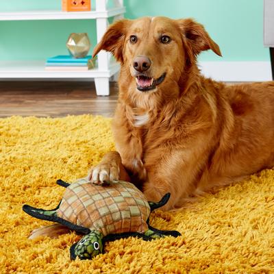 Show full view: Tuffy's Ocean Creatures Burtle Turtle Plush Dog Toy slide 5 of 10