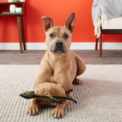 Show full view: Tuffy's Ocean Creatures Burtle Turtle Plush Dog Toy slide 6 of 10