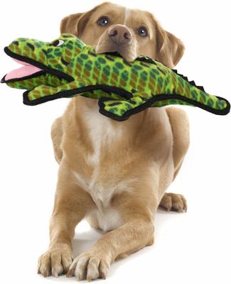 Show full view: Tuffy's Ocean Creatures Gary Gator Squeaky Plush Dog Toy slide 3 of 7