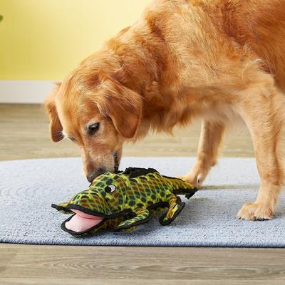 Show full view: Tuffy's Ocean Creatures Gary Gator Squeaky Plush Dog Toy slide 4 of 7