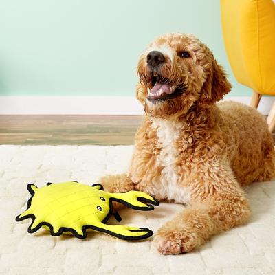 Show full view: Tuffy's Ocean Creatures King Crab Squeaky Plush Dog Toy slide 5 of 10