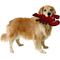 Show in main carousel: Tuffy's Ocean Creatures Larry Lobster Squeaky Plush Dog Toy slide 3 of 8