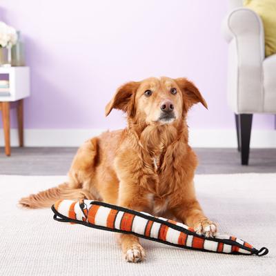 Show full view: Tuffy's Ocean Creatures Neelmo Squeaky Plush Dog Toy slide 4 of 9