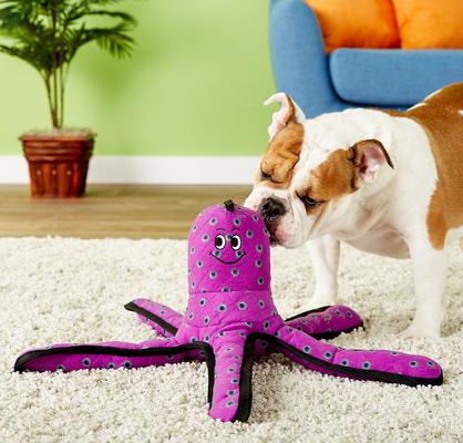 Show full view: Tuffy's Ocean Creatures Purple Pete Squeaky Plush Dog Toy slide 4 of 6