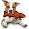 Show in main carousel: Tuffy's Ocean Creatures Trout Squeaky Plush Dog Toy, Orange slide 4 of 11