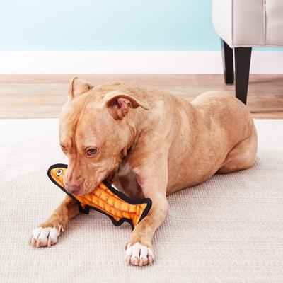 Show full view: Tuffy's Ocean Creatures Trout Squeaky Plush Dog Toy, Orange slide 5 of 11