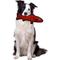 Show in main carousel: Tuffy's Ocean Creatures Trout Squeaky Plush Dog Toy, Red slide 3 of 10