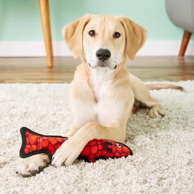 Show full view: Tuffy's Ocean Creatures Trout Squeaky Plush Dog Toy, Red slide 4 of 10
